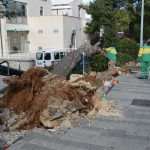 The white fluffy surprise in Dubrovnik 21 storm