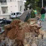 The white fluffy surprise in Dubrovnik 22 storm
