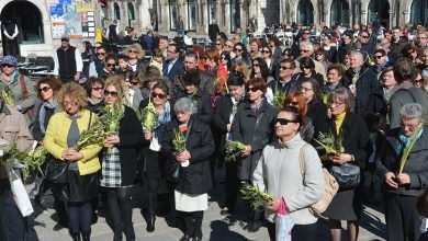 Photo Gallery: Palm Sunday in the Pearl of the Adriatic 8 Palm Sunday