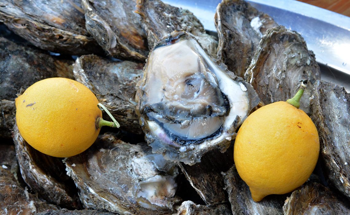 Ston Oyster Day 2015