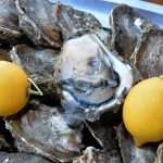 Ston Oyster Day 2015