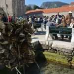 Ston Oyster Day 2015