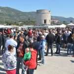 Ston Oyster Day 2015