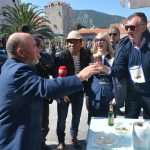 Ston Oyster Day 2015