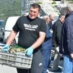 Ston Oyster Day 2015