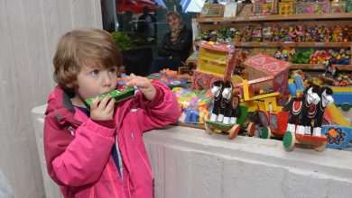 12th Mediterranean fair of healthy food and medical herbs