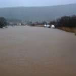 The white fluffy surprise in Dubrovnik 4 storm