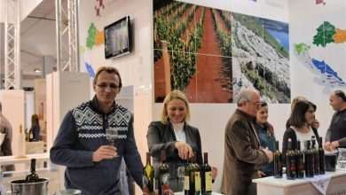 Plavac and Peljesac seduced wine lovers in Belgrade 7 wine belgrade