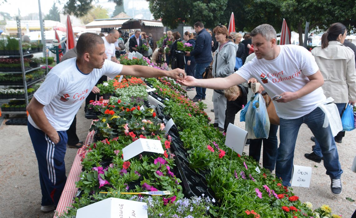 Flower Fair Dubrovnik