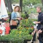 Photo: Dubrovnik Flower Fair impressed tourists 11 Flower Fair Dubrovnik