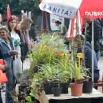 Photo: Dubrovnik Flower Fair impressed tourists 6 Flower Fair Dubrovnik