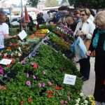 Photo: Dubrovnik Flower Fair impressed tourists 2 Flower Fair Dubrovnik