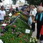 Photo: Dubrovnik Flower Fair impressed tourists 1 Flower Fair Dubrovnik