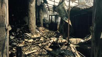 Grgic winery destroyed during Peljesac wildfire! 1 fire peljesac