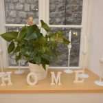 Restaurant LAJK – Dubrovnik specialties and art in one place 3 lajk063