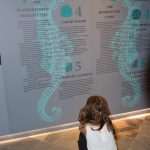 Game of Thrones back on Lokrum! 6 iron throne lokrum