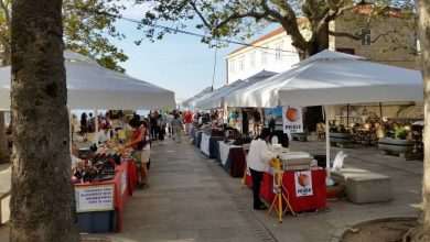 Healthy Food and Local Products @ Pile 1 Fair of healthy food and local products