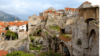 Top 10 Instagram photos of the week 5-11 October 2015 19 nozokoneko