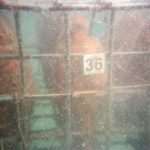 Unique Souvenir: Each Bottle is a Miracle of Nature! 23 Edivo vina 15