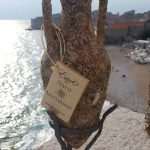 Unique Souvenir: Each Bottle is a Miracle of Nature! 20 Edivo vina 16