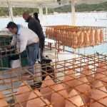 Unique Souvenir: Each Bottle is a Miracle of Nature! 17 Edivo vina 22