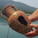 Unique Souvenir: Each Bottle is a Miracle of Nature! 12 Edivo vina 28