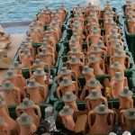 Unique Souvenir: Each Bottle is a Miracle of Nature! 10 Edivo vina 31