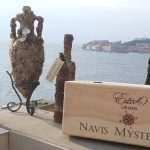 Unique Souvenir: Each Bottle is a Miracle of Nature! 4 Edivo vina 36