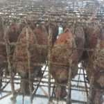 Unique Souvenir: Each Bottle is a Miracle of Nature! 1 Edivo vina 39