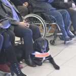 Song for the Hospital in Dubrovnik 14 mihajlo koncert027