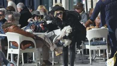 Photo: Saturday in Dubrovnik - Stradun Was full of Visitors 20 spica 4