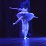 SwanLake 1