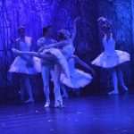 SwanLake 10