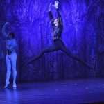 SwanLake 103