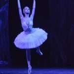SwanLake 107