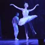 SwanLake 109