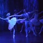 SwanLake 11