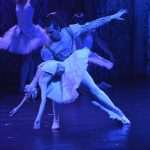 SwanLake 12