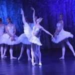 SwanLake 13