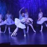 SwanLake 14