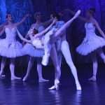SwanLake 15