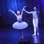 SwanLake 16