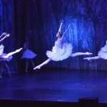 SwanLake 17