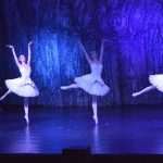 SwanLake 18
