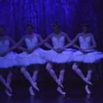 SwanLake 20