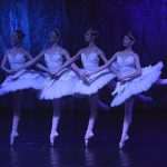 SwanLake 21