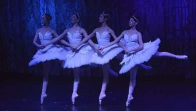 SwanLake 21