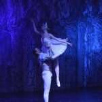 SwanLake 23