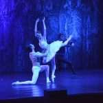 SwanLake 3
