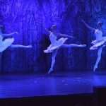 SwanLake 5